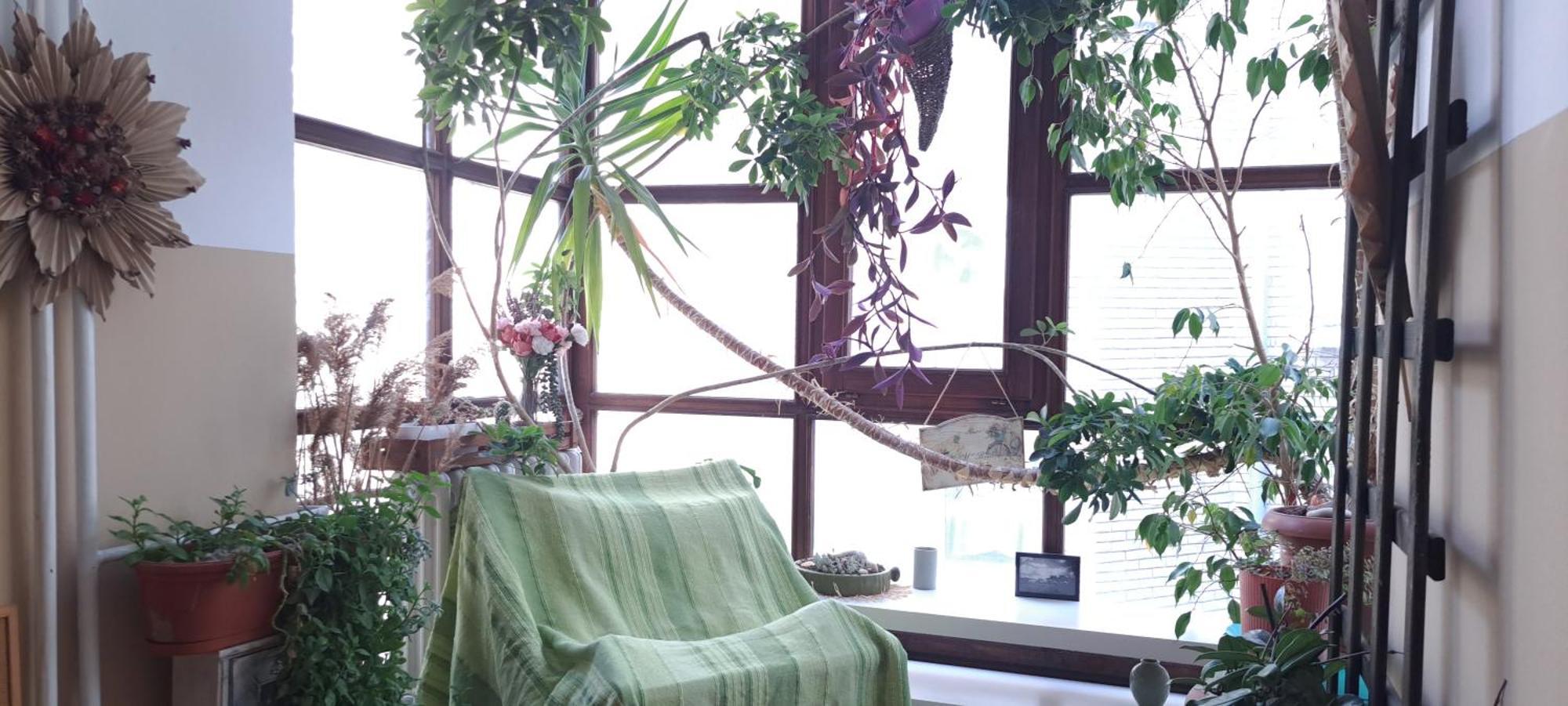 Green Land House Beograd Bagian luar foto